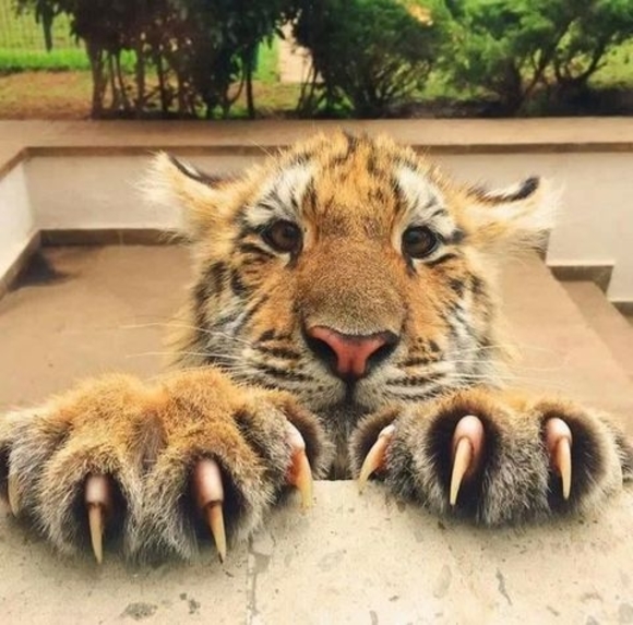 Meet your Posher, Cindy - Picture 1 of 1